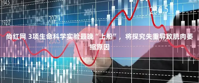 尚红网 3项生命科学实验最晚“上船”，将探究失重导致肌肉萎缩原因