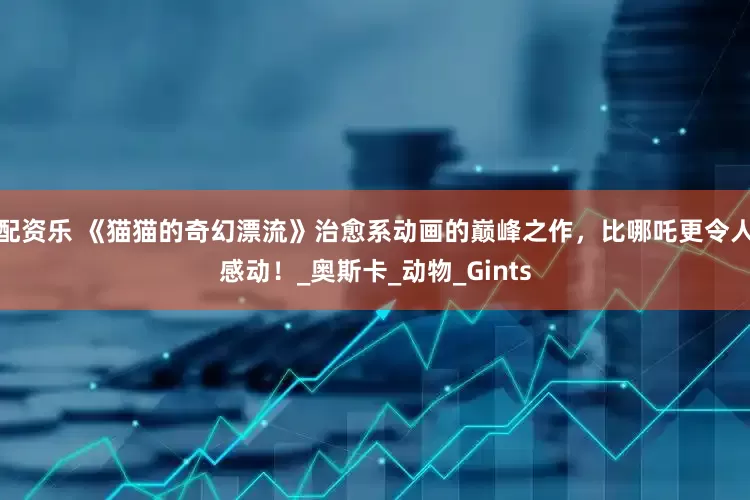 配资乐 《猫猫的奇幻漂流》治愈系动画的巅峰之作，比哪吒更令人感动！_奥斯卡_动物_Gints