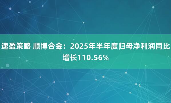 速盈策略 顺博合金：2025年半年度归母净利润同比增长110.56%