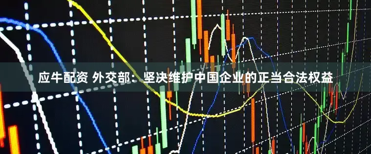 应牛配资 外交部：坚决维护中国企业的正当合法权益